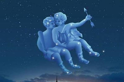 以毒攻毒 视频海报