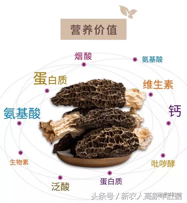 囡囡 视频缩略图