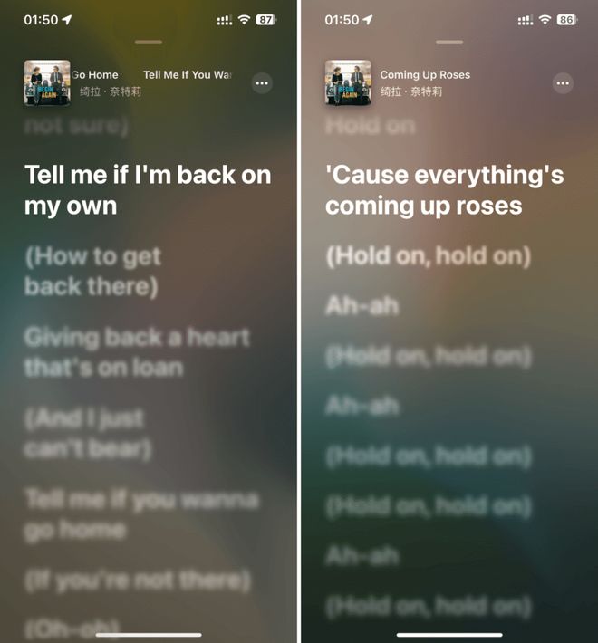 凤梧洞战斗 视频海报