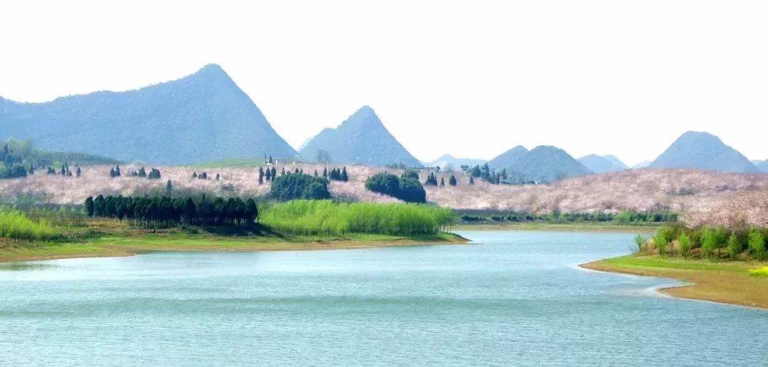 侏罗纪入侵 视频缩略图