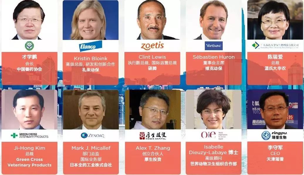 任务迷走72小时 视频缩略图