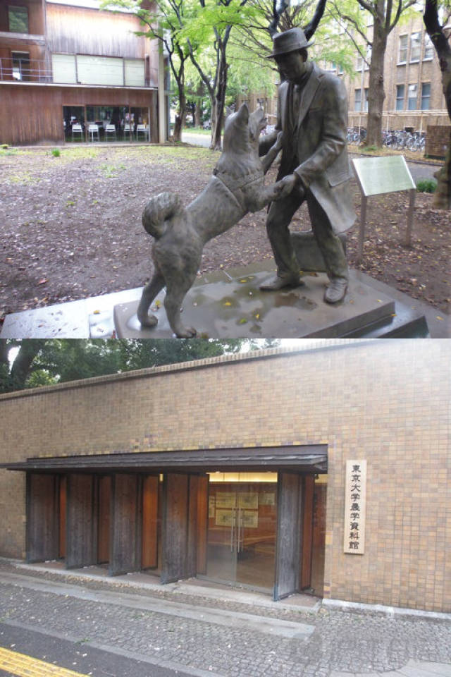 偷来的人生 视频缩略图