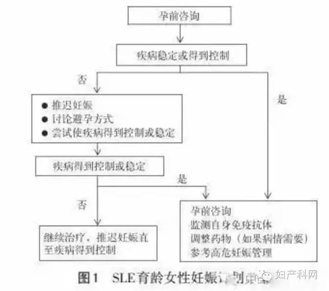 何以为家（国语版） 视频缩略图