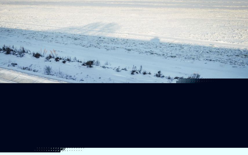 僵尸家族 视频缩略图