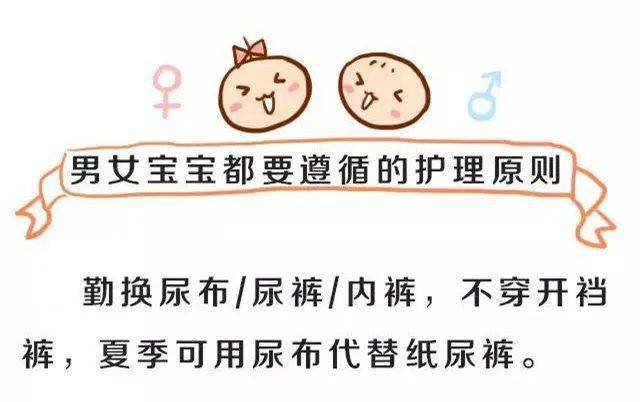 塞尔玛 视频缩略图