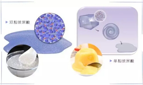 你是我的一束光 视频缩略图