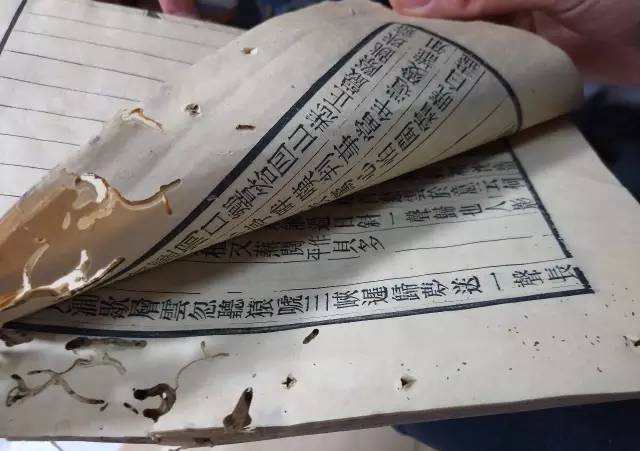 冰川时代5：星际碰撞 视频缩略图