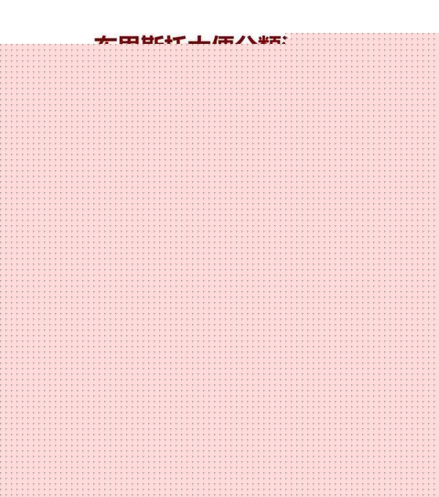 侠盗之星 视频缩略图