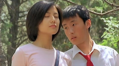 凤梧洞战斗 视频海报