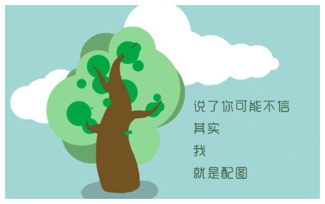 会痛的十七岁 视频缩略图